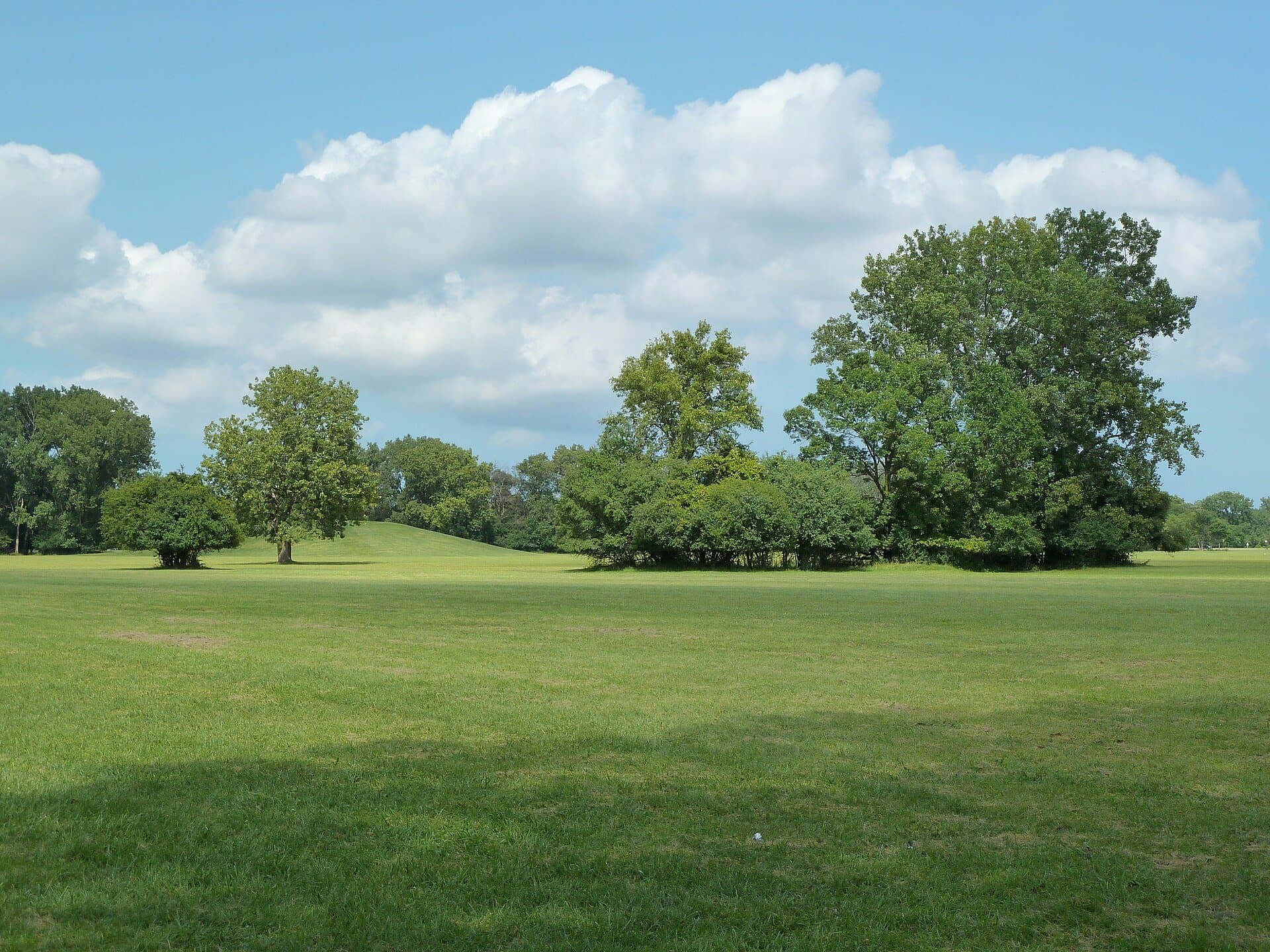 Open lawn and trees at Catherine Chevalier Woods forest preserve near Schiller Park